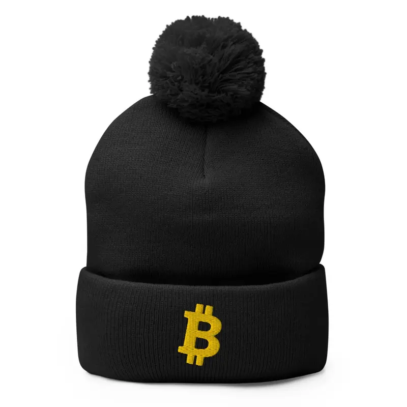 Bitcoin hat 2